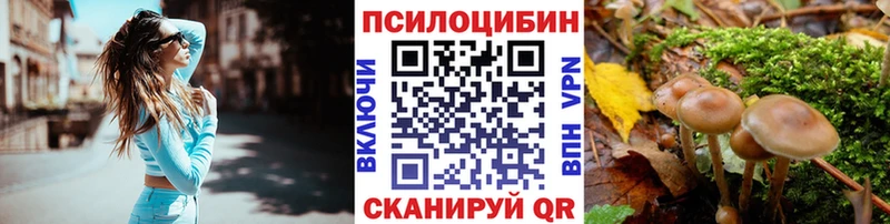 Псилоцибиновые грибы мухоморы  Купить закладки  Краснозаводск 